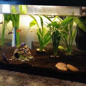 Meet your Posher, Nancy